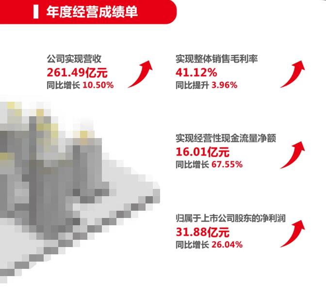 大华股份2019年年度报告