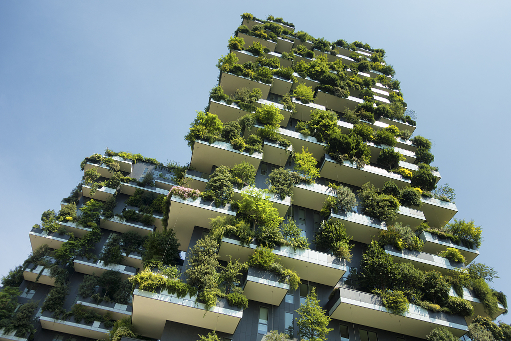 我们如何才能减少建筑行业的碳足迹？
