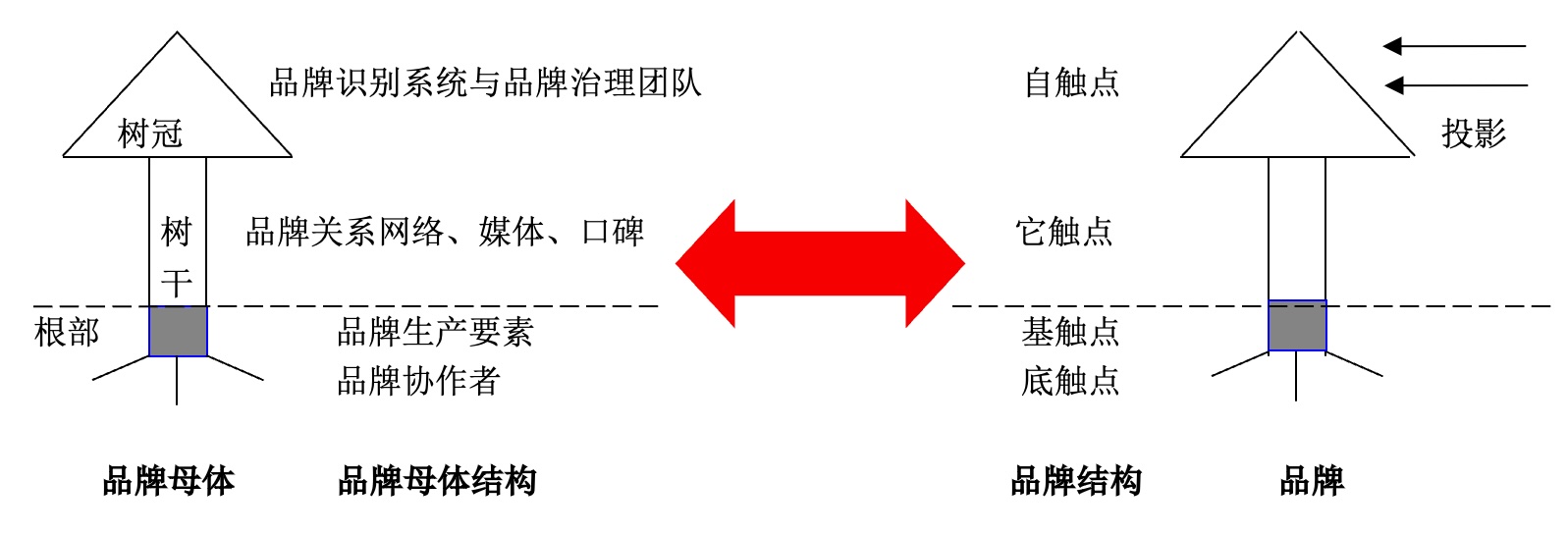 向忠宏：基于品牌生态学视角的品牌结构剖析