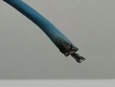 深度干货：防火阻燃通信线缆的重要性（建议收藏）