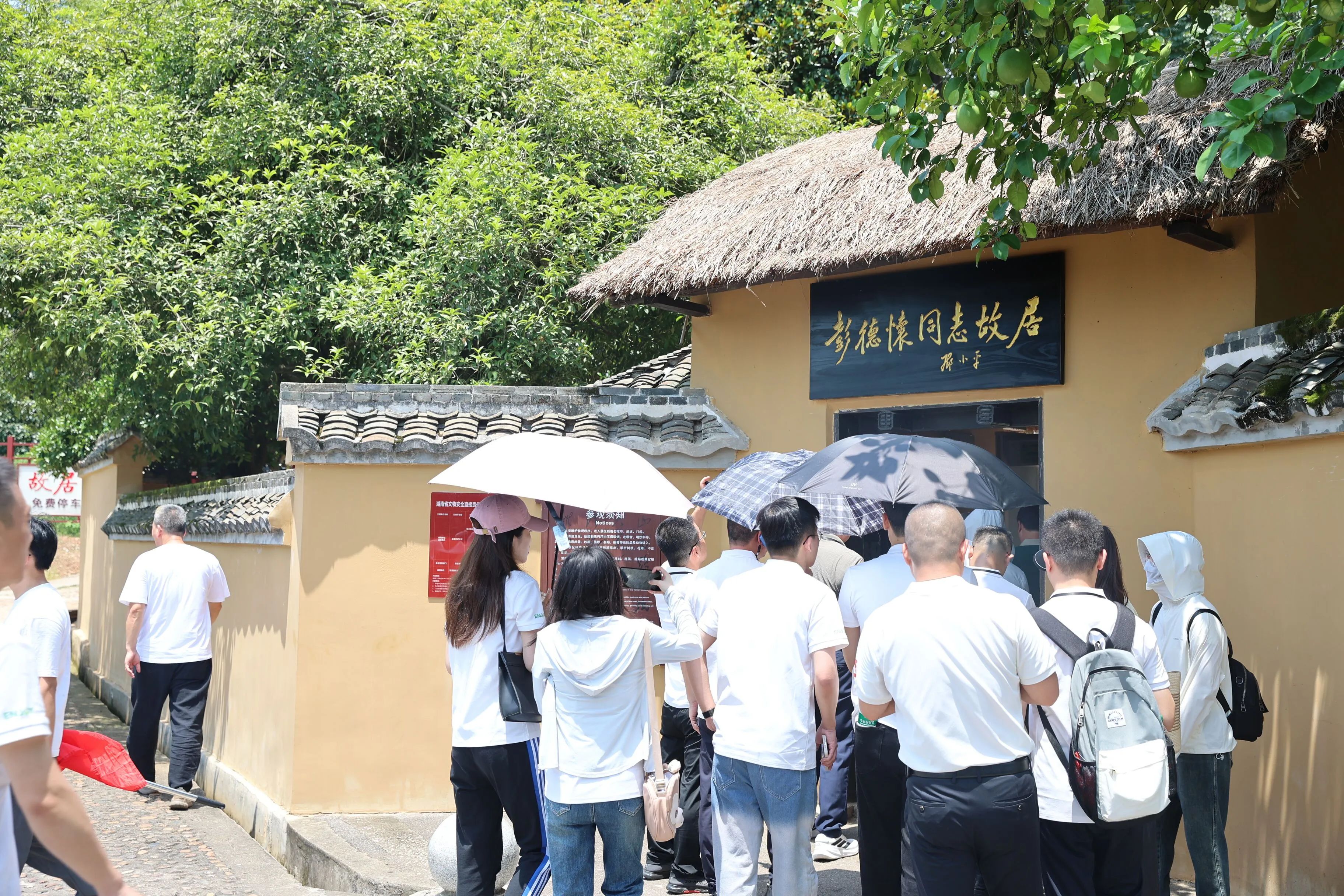 韶山星火照征程 | ENJOYLink欢联 2025 党建活动红色纪实