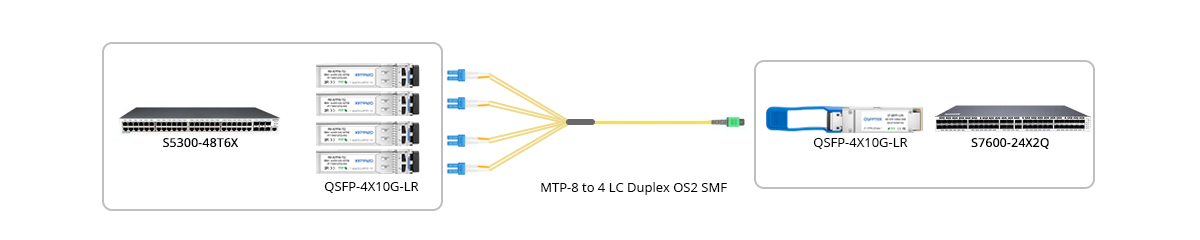 MTP/MPO分支光缆 VS MTP/MPO主干光缆：有什么区别？