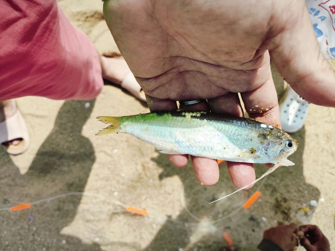 海风聚首，共筑一心——ENJOYLink欢联阳江月亮湾团建活动圆满落幕