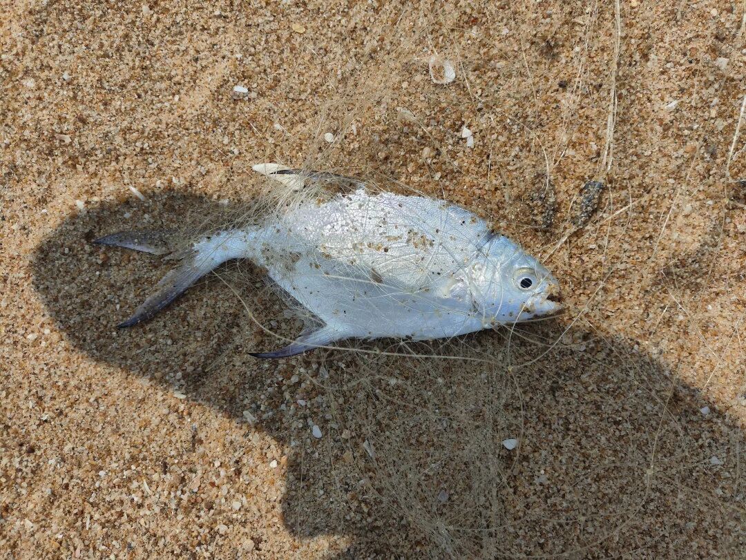 海风聚首，共筑一心——ENJOYLink欢联阳江月亮湾团建活动圆满落幕