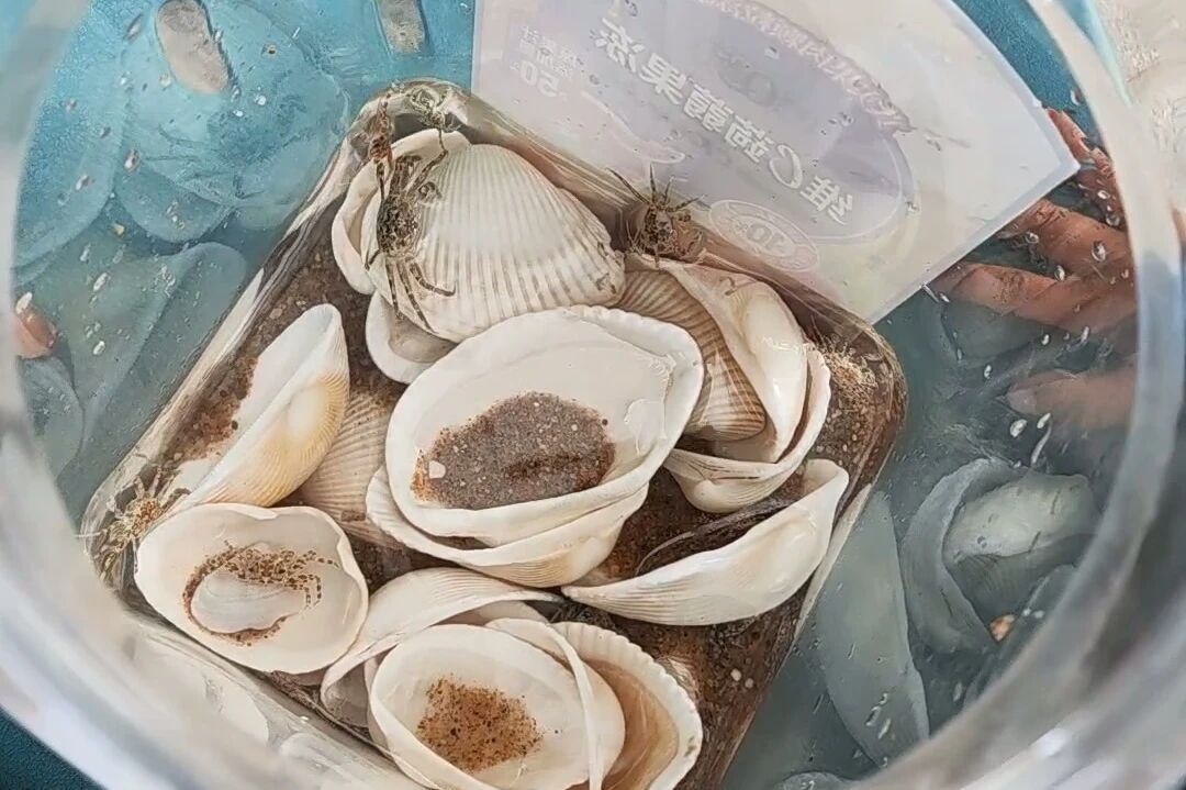 海风聚首，共筑一心——ENJOYLink欢联阳江月亮湾团建活动圆满落幕