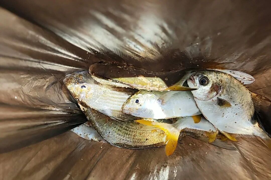 海风聚首，共筑一心——ENJOYLink欢联阳江月亮湾团建活动圆满落幕