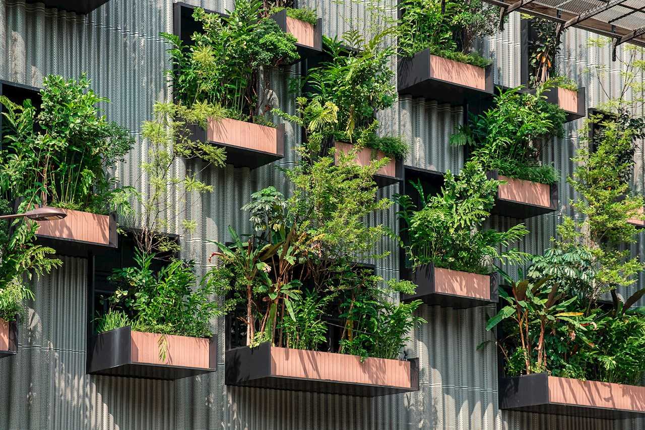 会“呼吸”的建筑：健康、舒适与可持续优势