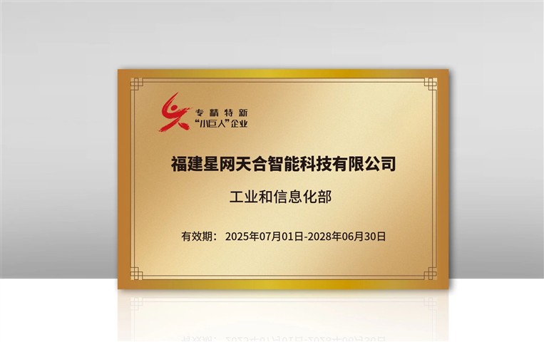 星网天合荣获国家级专精特新 “小巨人” 企业称号