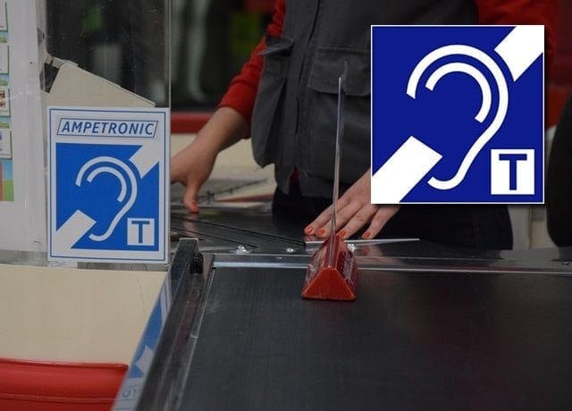 包容性城市：适应各类能力的智慧城市