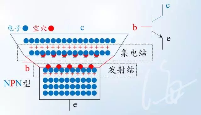 1.webp (2).jpg